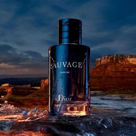 dior suavage 60ml|dior sauvage best price uk.